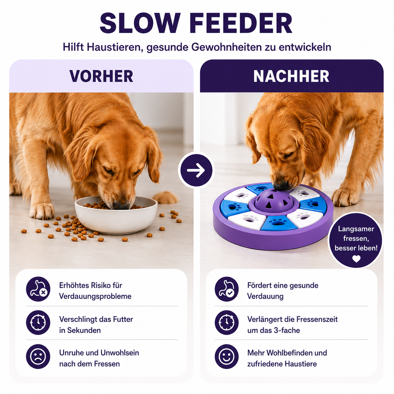 Leckerli-Puzzle - spielerisch langsames Fressen für eine bessere Verdauung