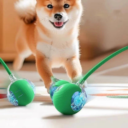 Elektrischer Katzen- und Hundeball mit Mausschwanz- Interaktives Spielzeug