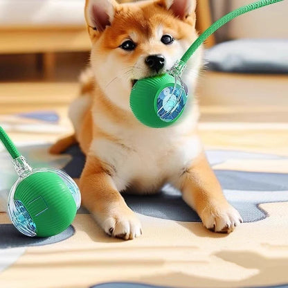 Elektrischer Katzen- und Hundeball mit Mausschwanz- Interaktives Spielzeug